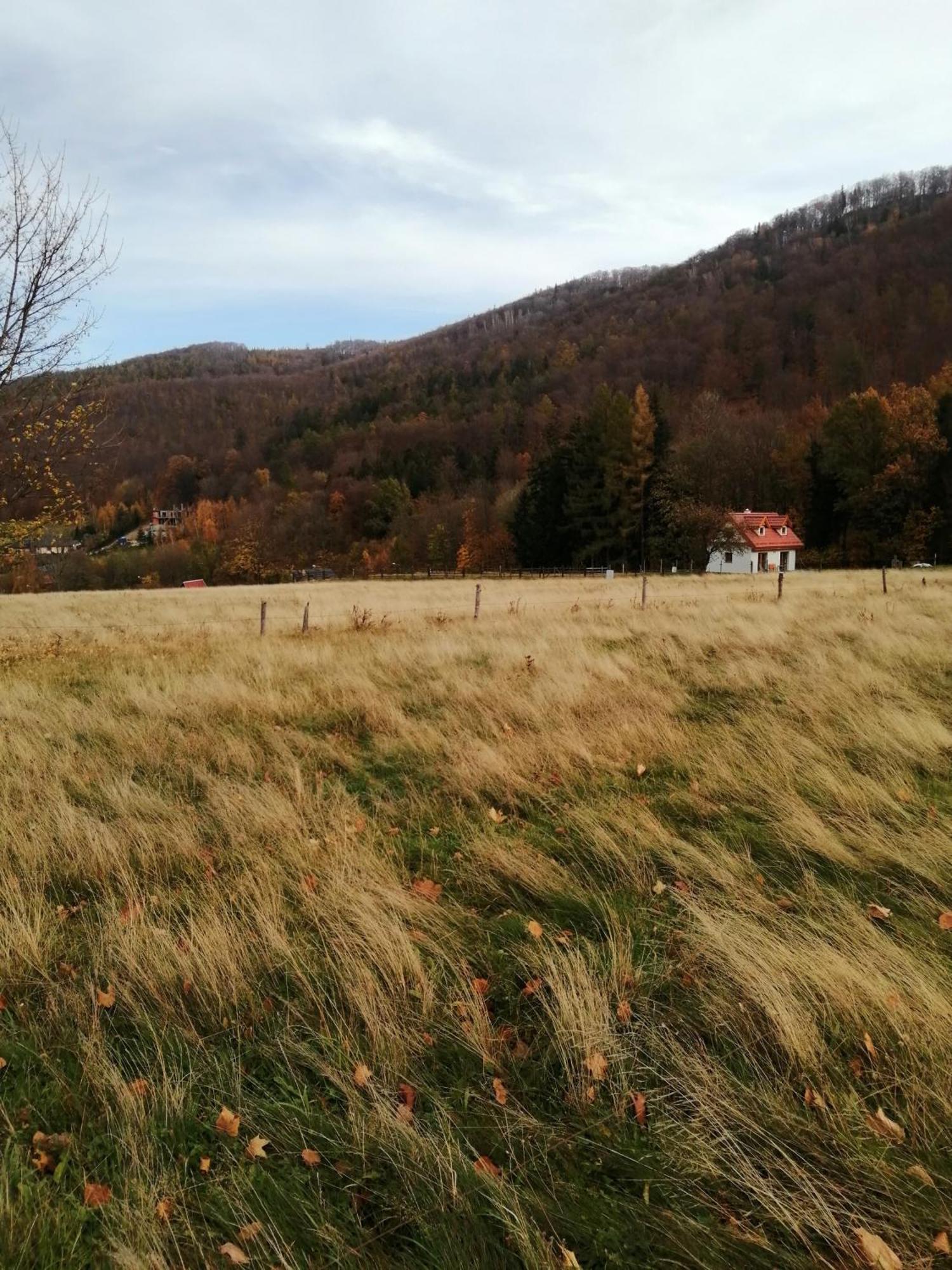 Domek W Gorach Sowich Peterswaldau Exterior foto